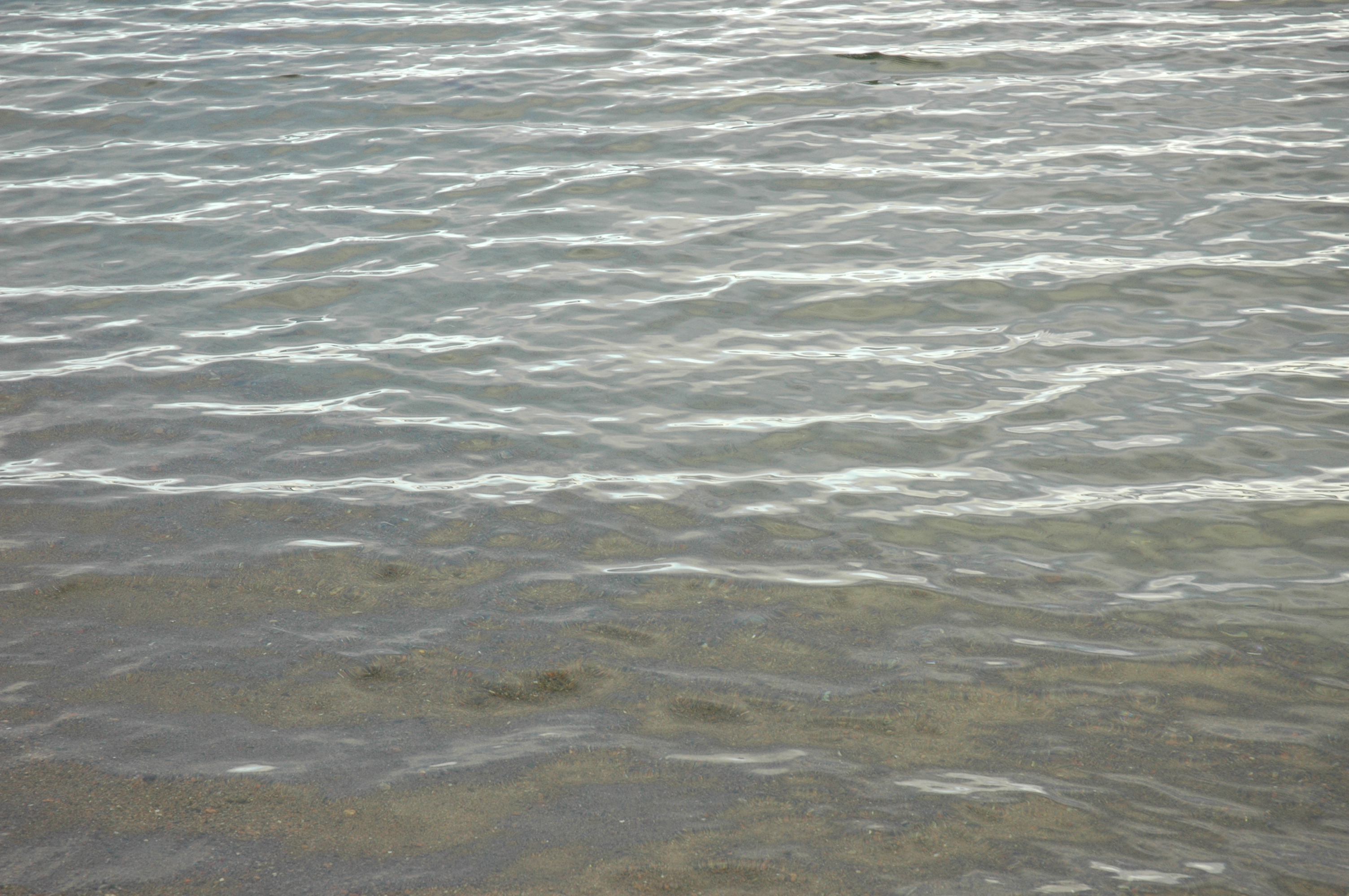 Artikkelbilde til artikkelen RS-magasinet 3/23